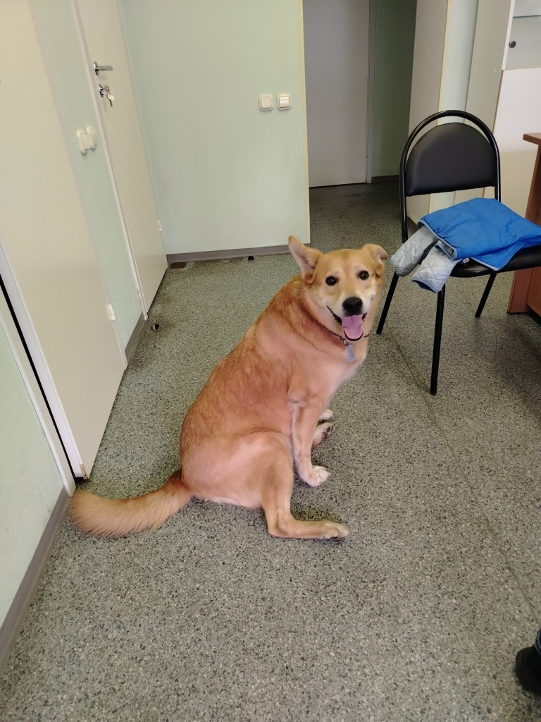 Выезд Видяево